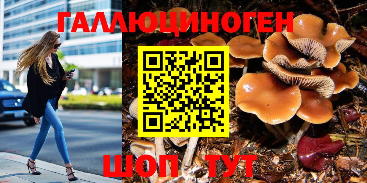 Галлюциногенные грибы мицелий  Вход с VPN  Галлюциногенные грибы Psilocybe  Россошь 